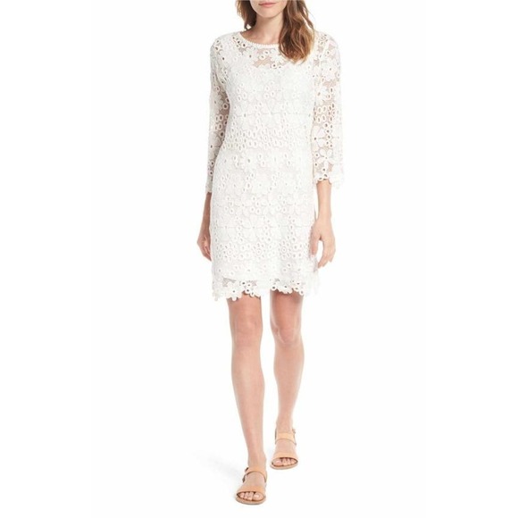 Velvet By Graham & Spencer Embroidered Lace Sheath Knee Length Dress Size Medium - Picture 1 of 12